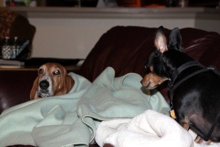 Abby and Lola watching Dr. Who on NYE