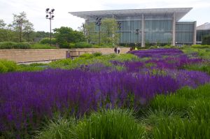 Chicago Art Institute