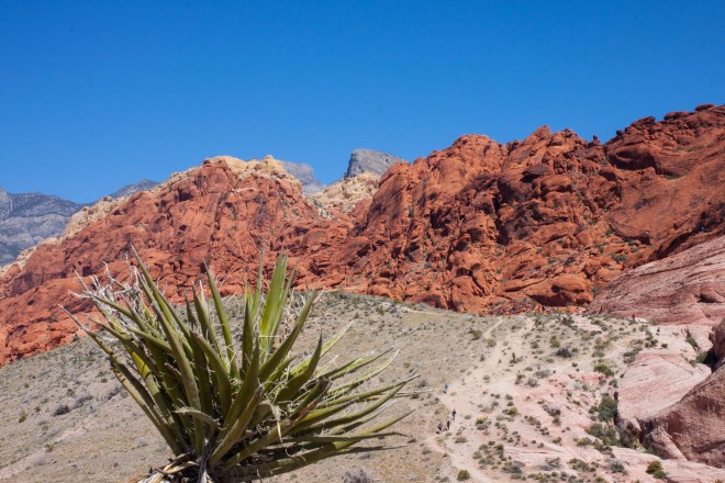 Red Rock Canyon