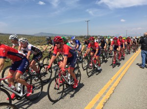 Pro Cycle Challenge