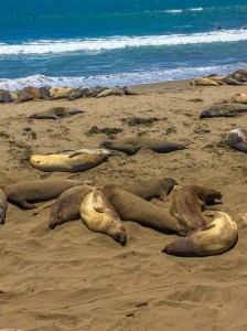 June2017BaseballTrip-114